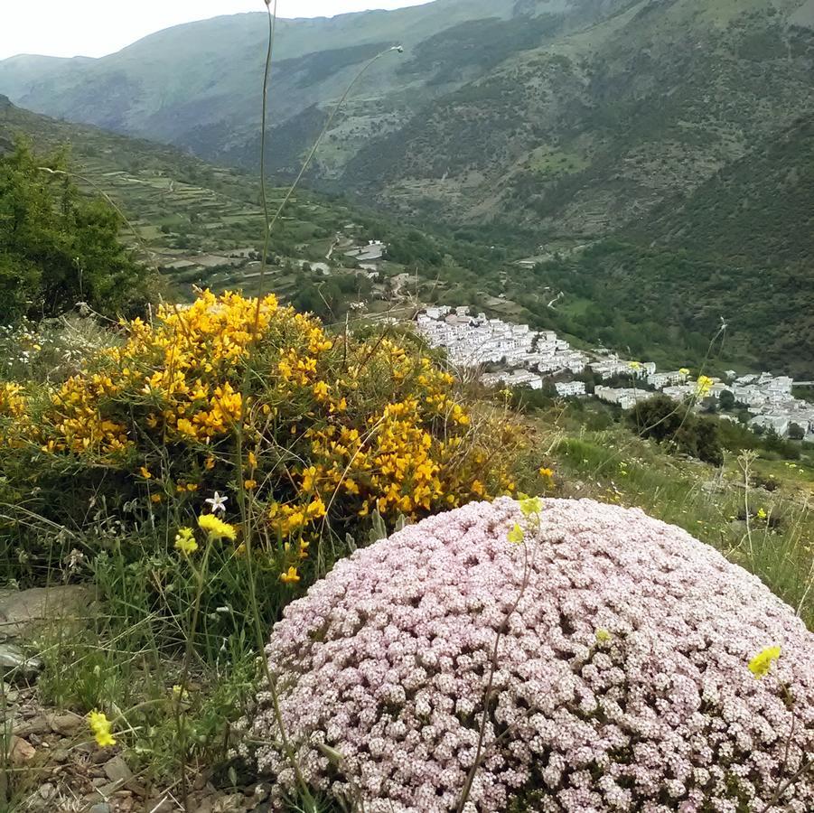 Bed and Breakfast Refugio Alpujarra Alta Trevélez Exterior foto